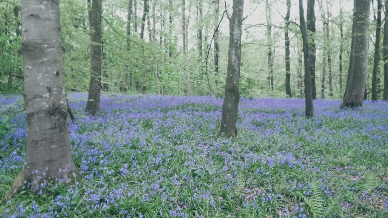Moyola River Cottage 马拉费尔特 外观 照片